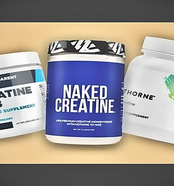 Best Creatine Supplements
