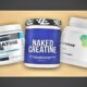 Best Creatine Supplements