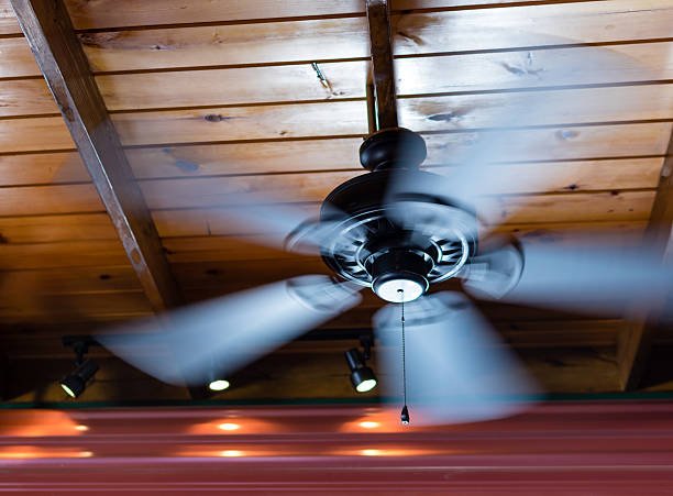fans to keep cool 