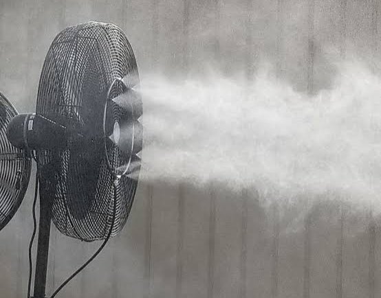 fans to keep cool 