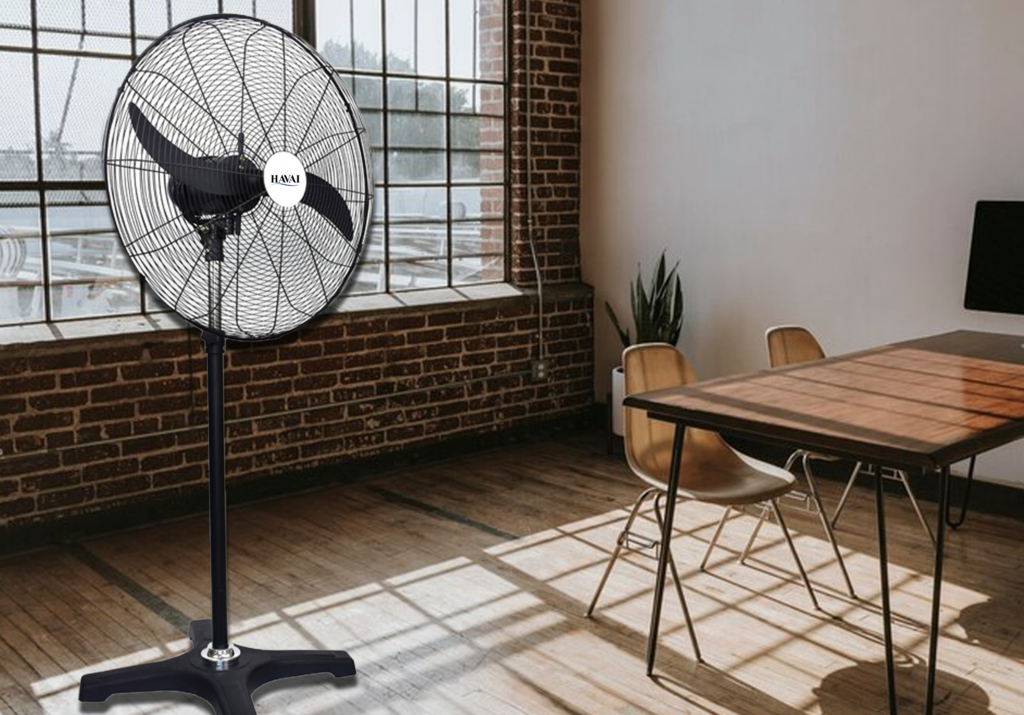 fans to keep cool 